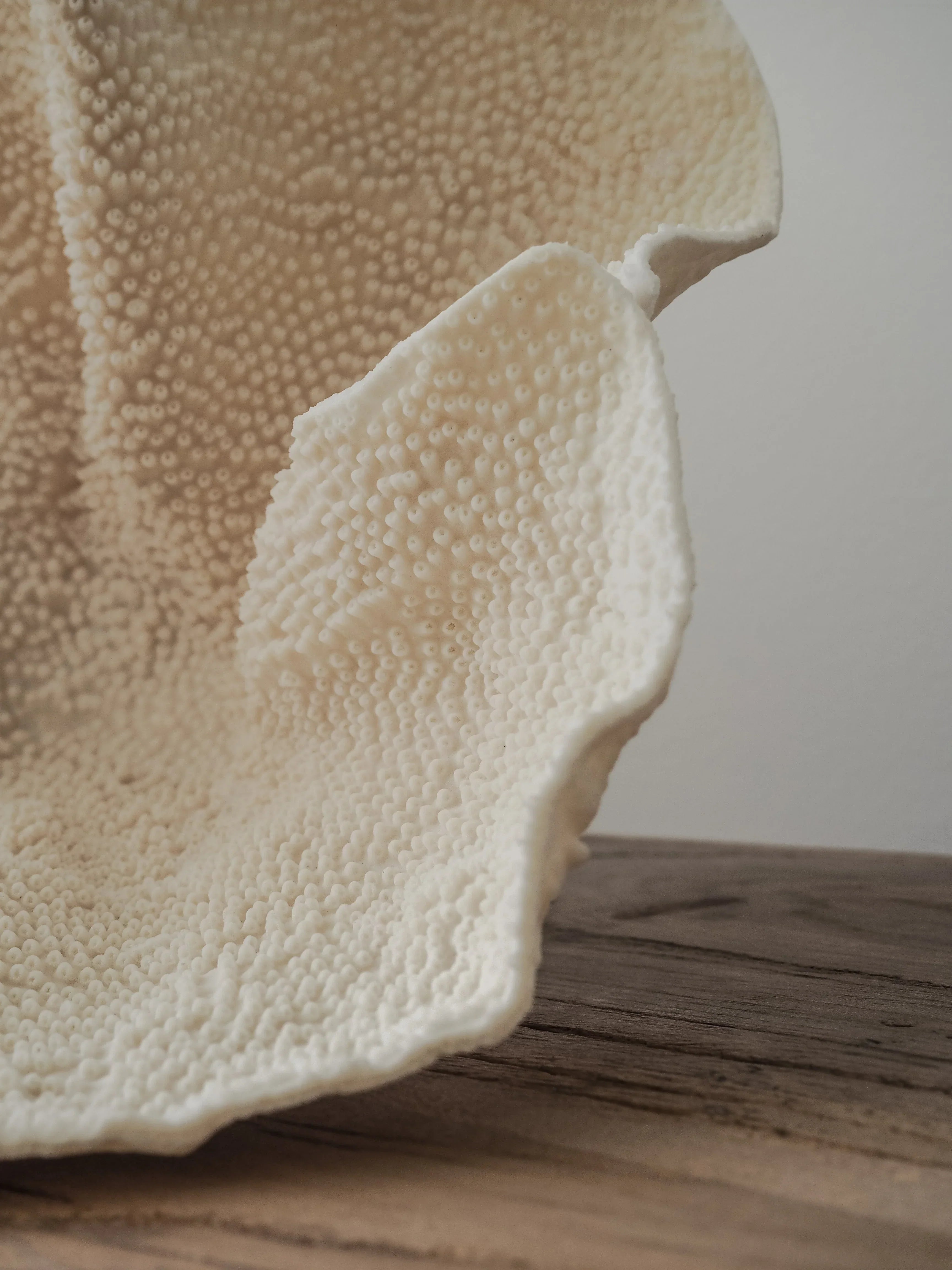 Ram Ram & Slow Beauty: The Evolution of Conscious Skincare